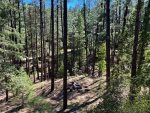 Firepit in Forest Below Pine Mountain Lodge